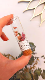 Tubo de Flores Preservadas