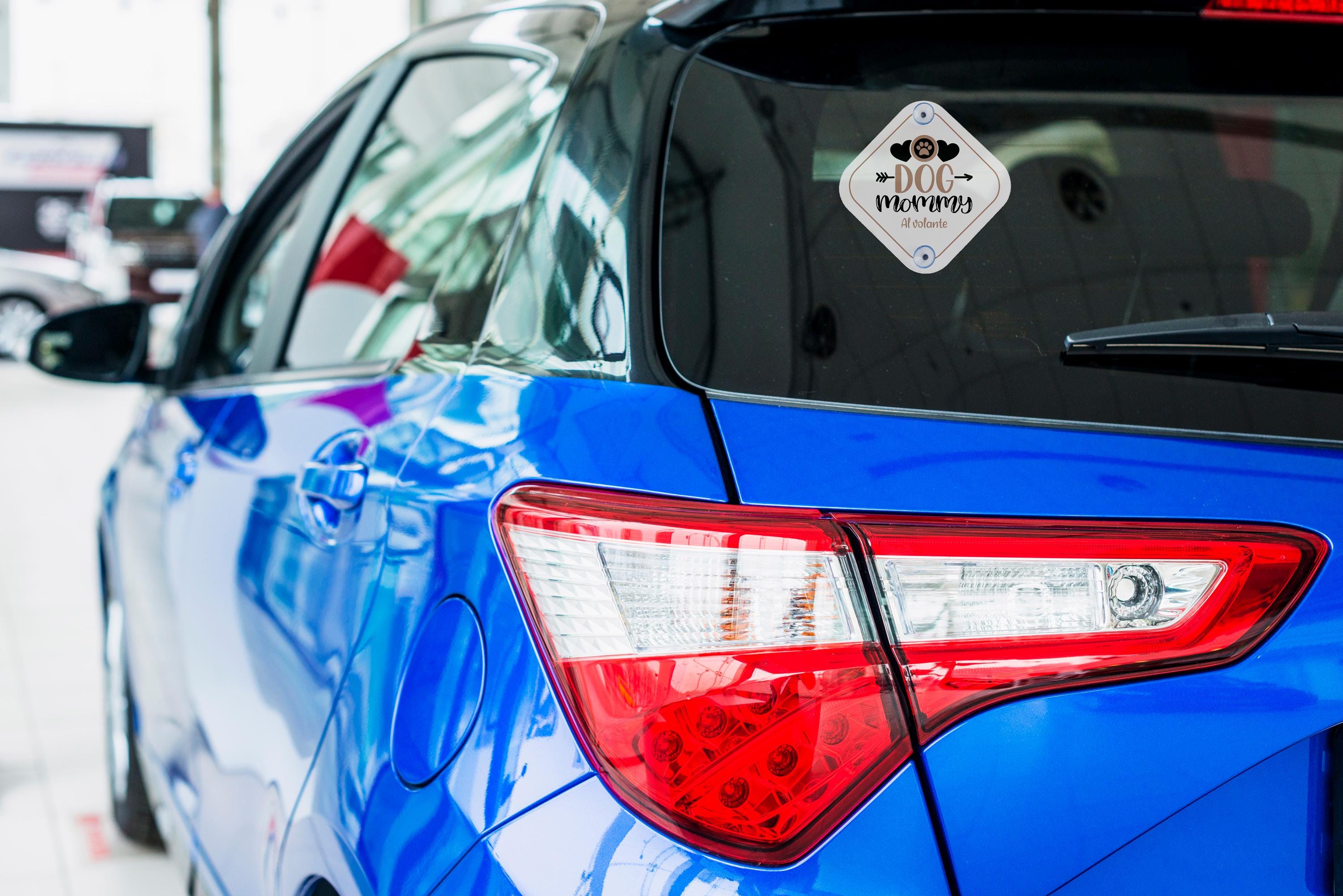 Placa de coche personalizada mascotas