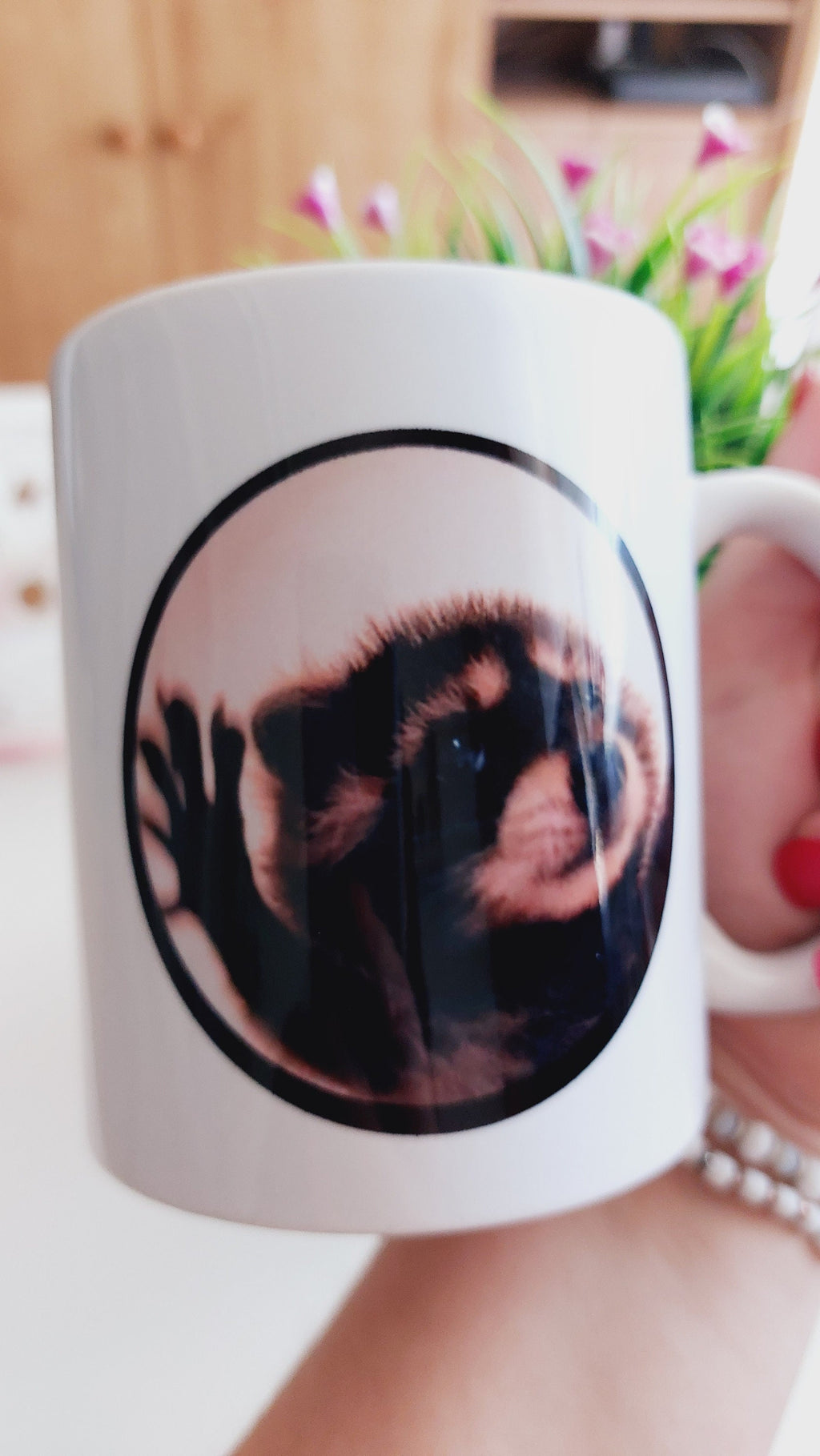 Taza Pedro, pedro Mapache