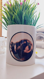 Taza Pedro, pedro Mapache