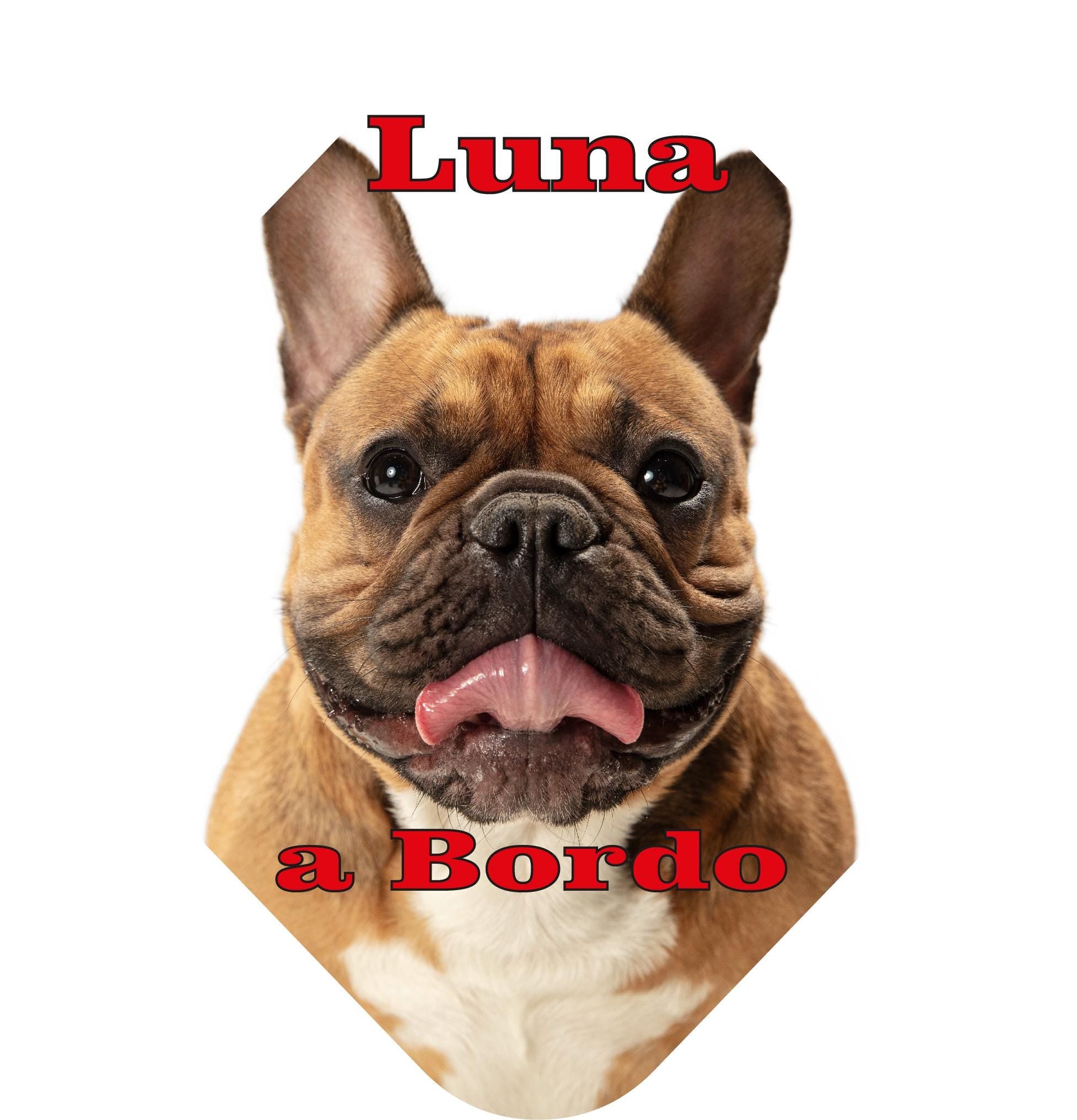 Placa de coche personalizada mascotas
