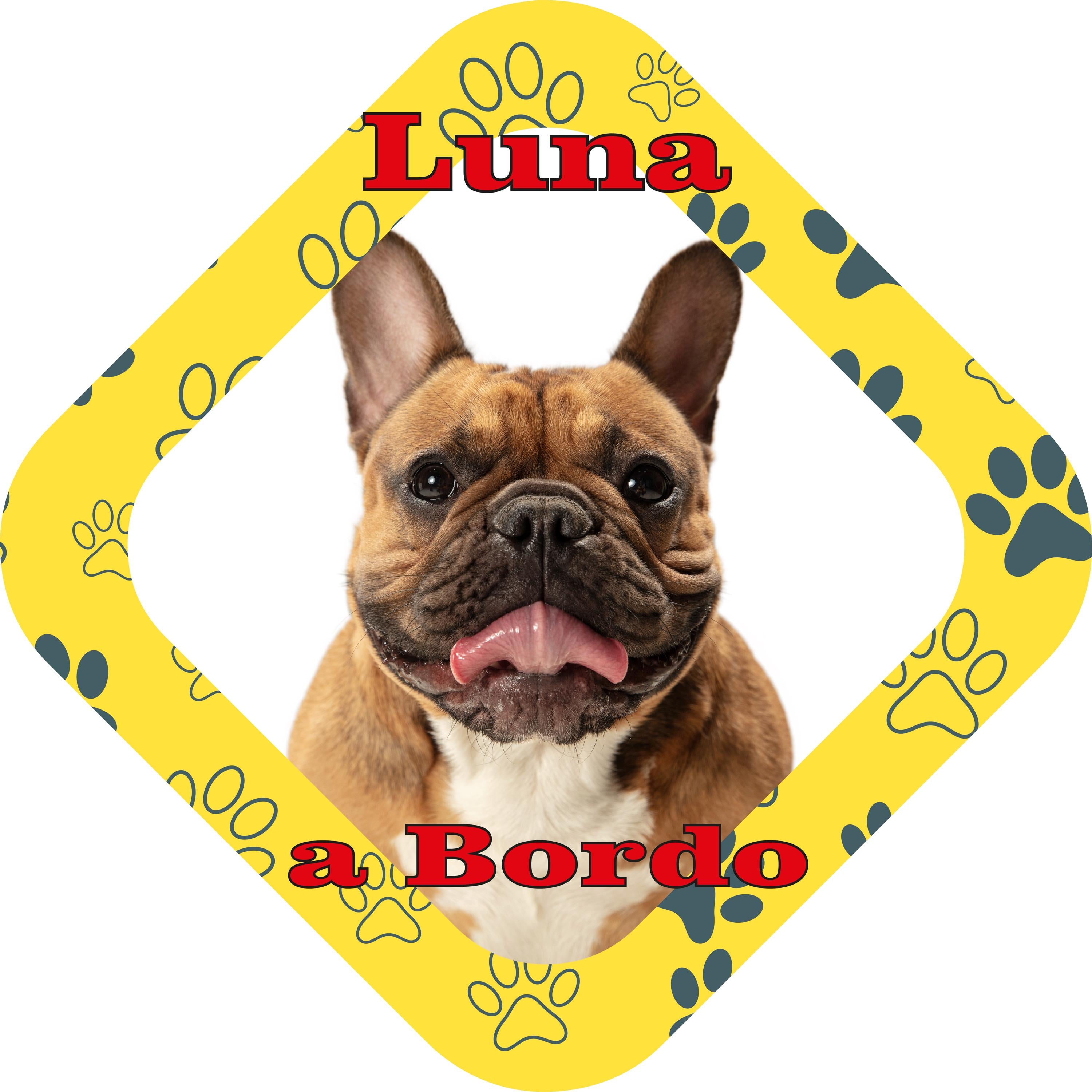 Placa de coche personalizada mascotas